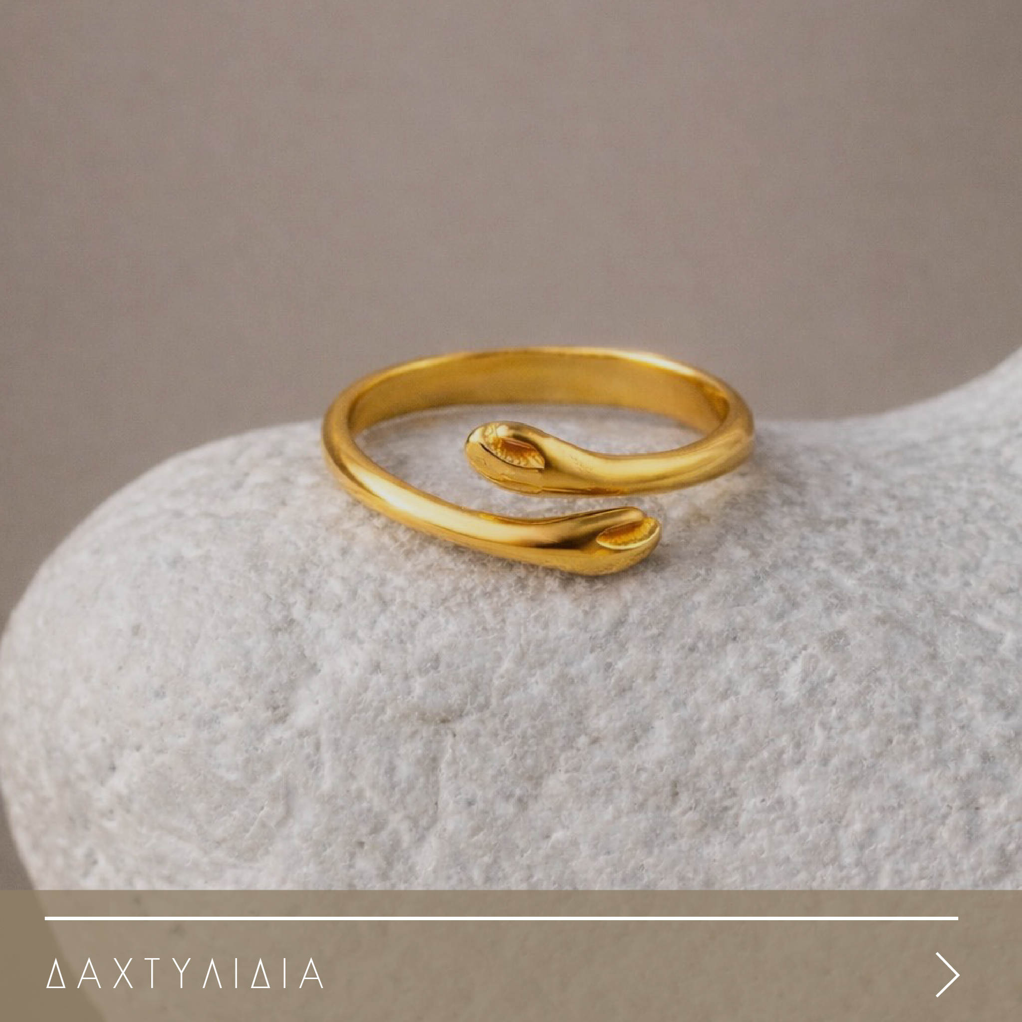 ΔΑΧΤΥΛΙΔΙΑ